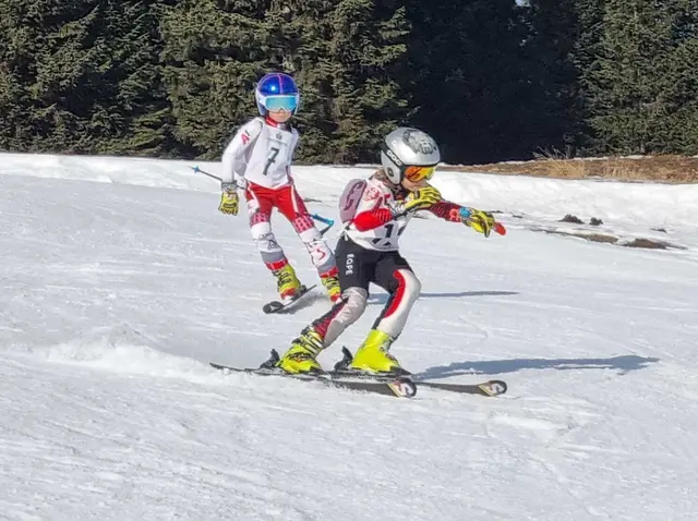 Die jungen Skifahrerinnen und Skifahrer zeigten am Salzstiegl ihr technisches Können. | Foto: Skiclub St. Stefan