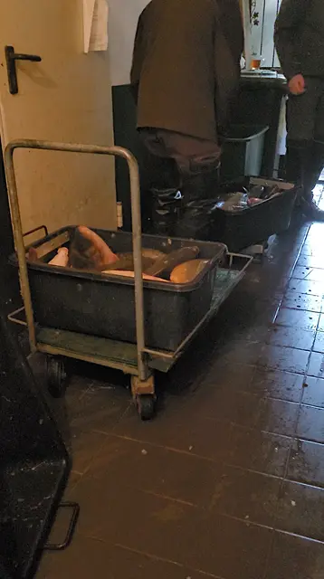 Foto: VGT