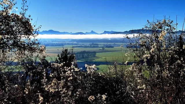 Blick vom Weingarten auf dem Friedburger Schlossberg nach Süden in Richtung der Berchtesgadener Alpen: Über dem Flachgau zeigt sich die "Flachgauer Schlange", eine Nebelerscheinung, die typisch bei dieser Wetterlage für das Alpenvorland ist. | Foto: Adolf Falb