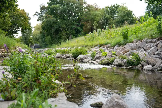 2026 wird der Liesingbach weiter renaturiert. | Foto: Valentina Marinelić/MeinBezirk