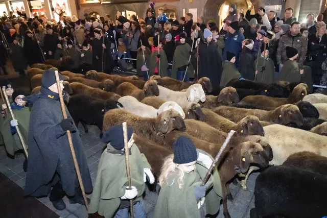 Foto: MeinBezirk/Westsideproduction