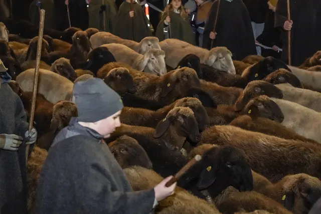 Foto: MeinBezirk/Westsideproduction