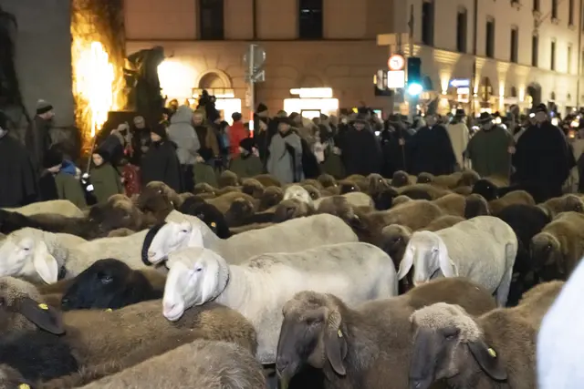 Foto: MeinBezirk/Westsideproduction