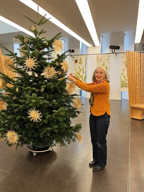 Ein geschmückter Baum gehört für Renate Plöchl dazu.  | Foto: Plöchl