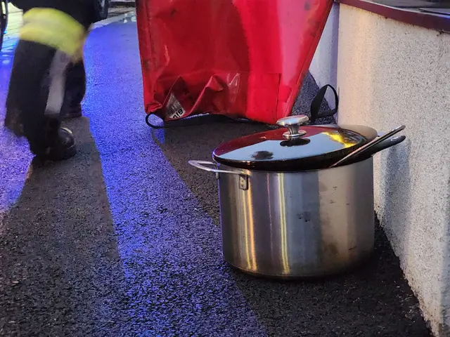 Der Kochtopf mit der angebrannten Speise wurde rasch gefunden. | Foto: ffmoedling.at