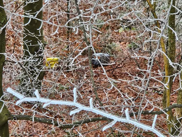 Im angrenzenden Waldstück wurden die entsorgten Kanister aufgefunden. | Foto: Freiwillige Feuerwehr Keutschach am See