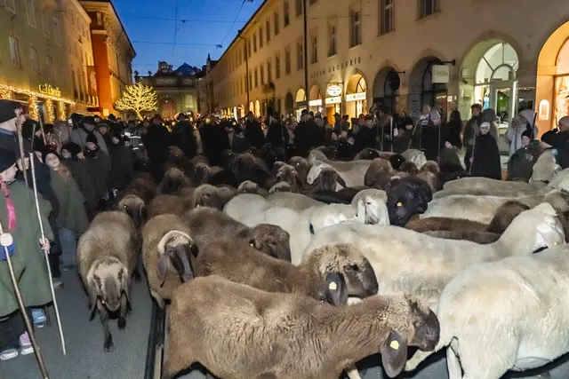 Foto: MeinBezirk/Westsideproduction