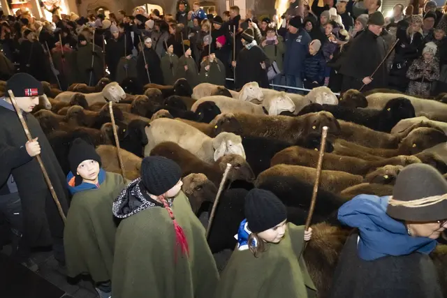 Foto: MeinBezirk/Westsideproduction