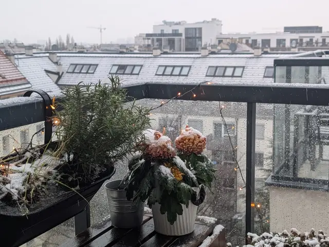 Auch im 21. Bezirk beginnt der 24. Dezember mit Schneefall. | Foto: Fabian Franz/MeinBezirk