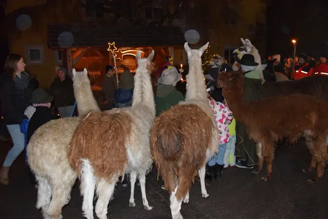 Foto: MeinBezirk/Josef Strohmeier