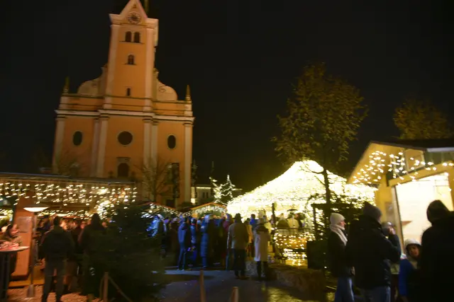 Foto: Gerald Dreisiebner