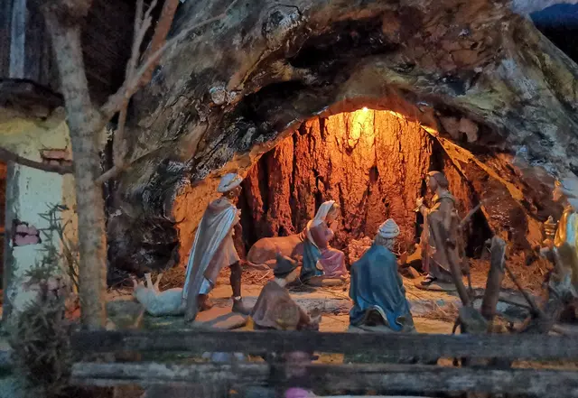 Kripperlroas in Molln | Foto: Felix© Apotheke Molln