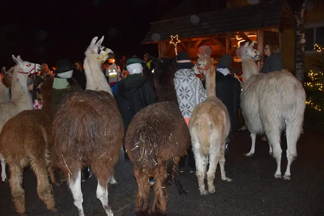 Foto: MeinBezirk/Josef Strohmeier