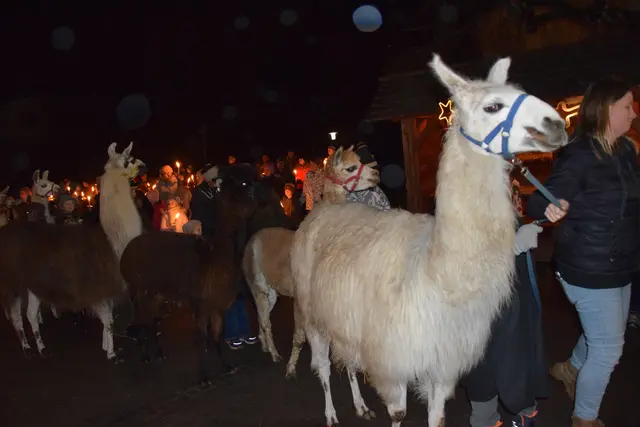 Foto: MeinBezirk/Josef Strohmeier