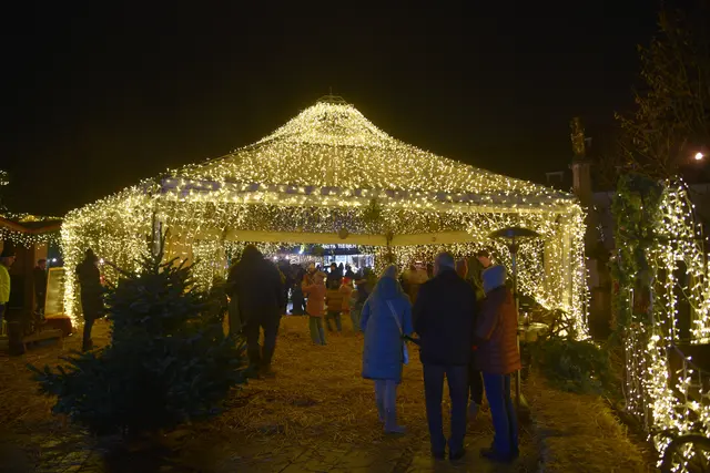 Foto: Gerald Dreisiebner