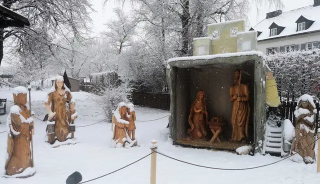 Kripperlroas in Molln | Foto: Felix© Apotheke Molln