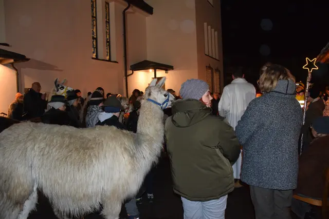 Foto: MeinBezirk/Josef Strohmeier