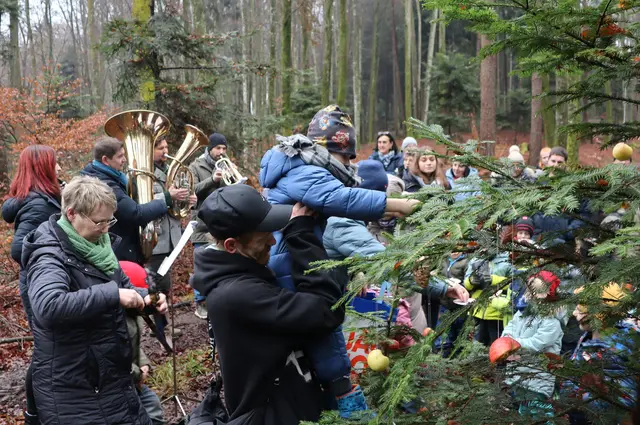 Im Wald verein unter dem Christbaum der Tiere | Foto: Gerhard Langmann