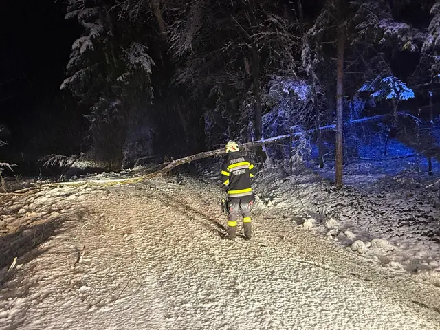 Baum über Straße hieß es nicht nur im Gemeindegebiet von Voitsberg | Foto: FF Voitsberg