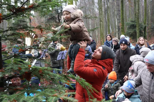 Genau da muss mein Apfel hin! | Foto: Gerhard Langmann