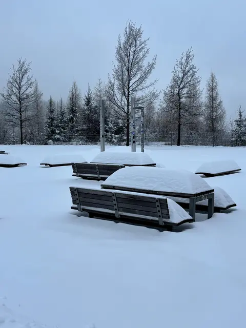 Am Weihnachtstag waren die Parkplätze bis 40 Zentimeter komplett voller Schnee. | Foto: Asfinag