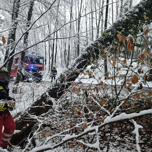 Die FF Mooskirchen musste am Christtag nach Edenberg ausrücken. | Foto: FF Mooskirchen