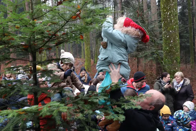 Die Kindergartenkinder waren mit großem Eifer dabei | Foto: Gerhard Langmann