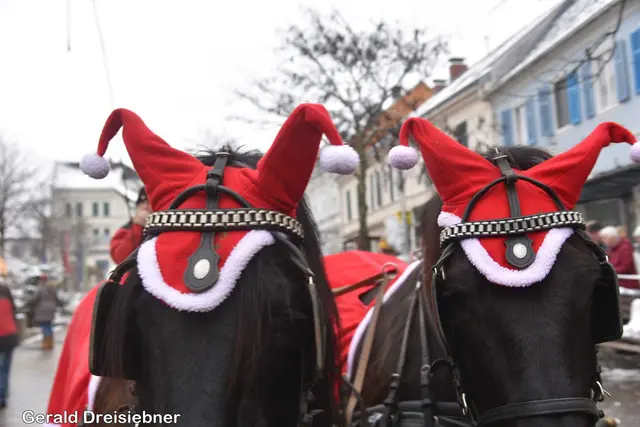 Foto: Gerald Dreisiebner