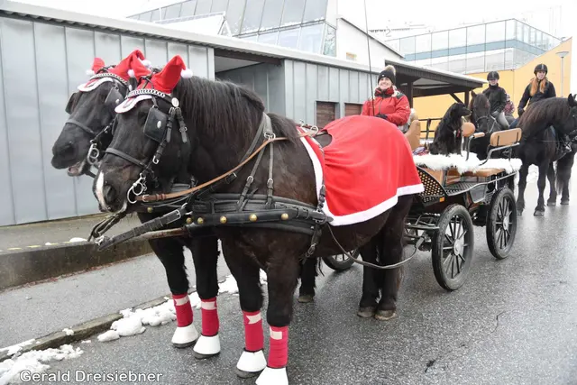 Foto: Gerald Dreisiebner