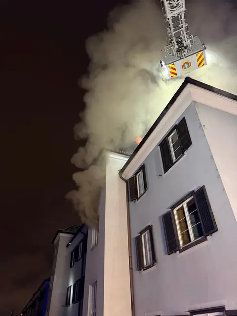Schreckliche Bilder in der Grazer Herrgottwiesgasse: Wohnung stand in Vollbrand, drei Katzen sind dabei gestorben. | Foto: Berufsfeuerwehr Graz