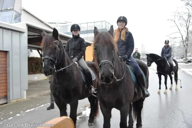 Foto: Gerald Dreisiebner