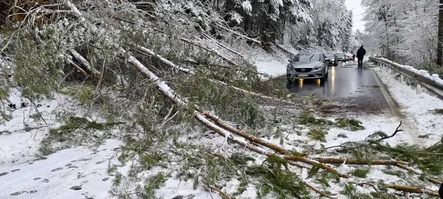 Umgeknickte Bäume blockierten Straßenzüge im Bezirk Oberwart. | Foto: ABI Hans Hettlinger