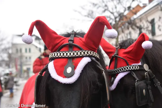 Foto: Gerald Dreisiebner