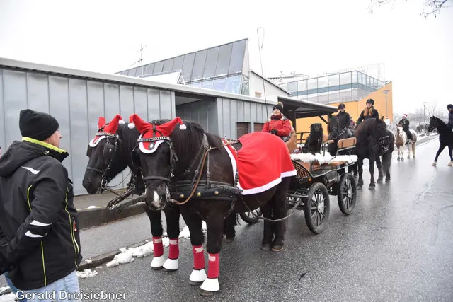 Foto: Gerald Dreisiebner