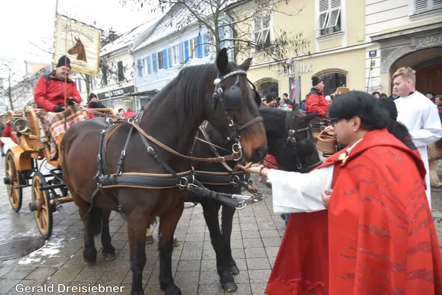 Foto: Gerald Dreisiebner