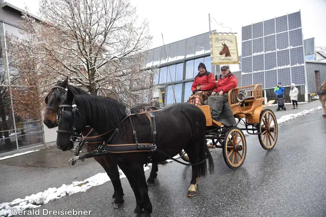 Foto: Gerald Dreisiebner