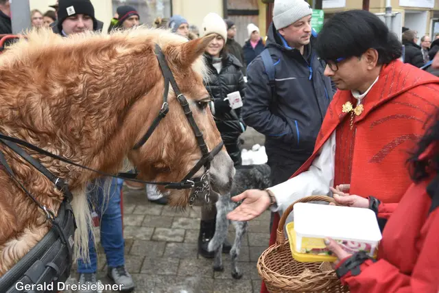 Foto: Gerald Dreisiebner