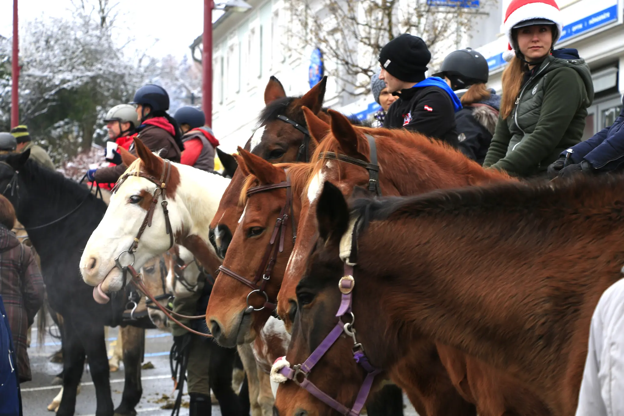 St. Stephen's Day procession and horse blessing: St. Stephen's Day ...