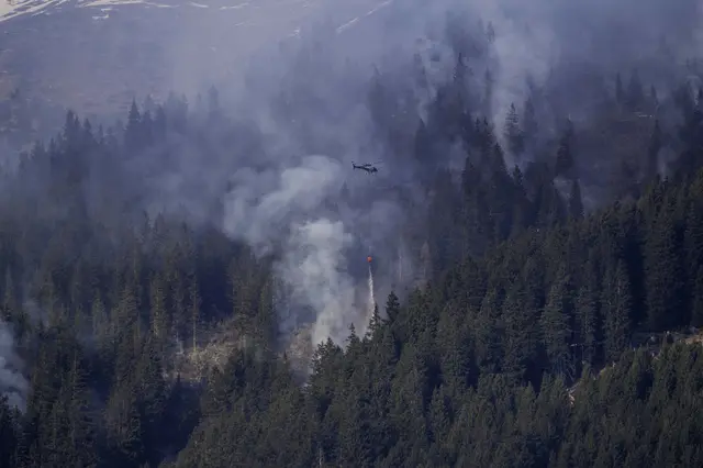 Foto: zeitungsfoto.at