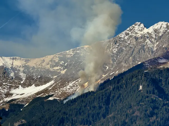 Waldbrand auf der Nordkette | Foto: zeitungsfoto.at