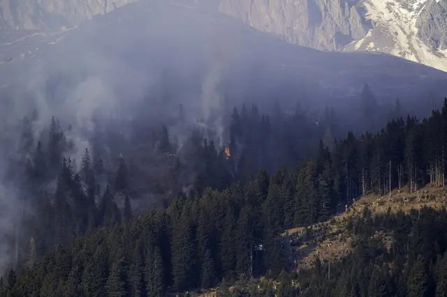 Foto: zeitungsfoto.at