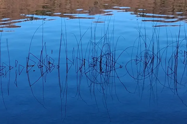 ...ich fand diese gespiegelte  "GRASKUNST" einfach so faszinierend.