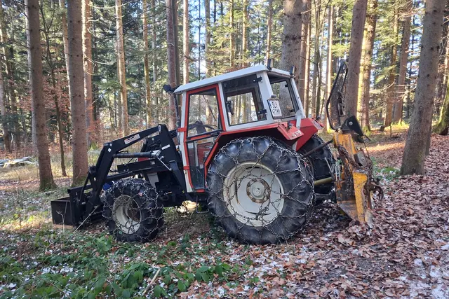 ...gestern wurde auch im Wald gearbeitet.