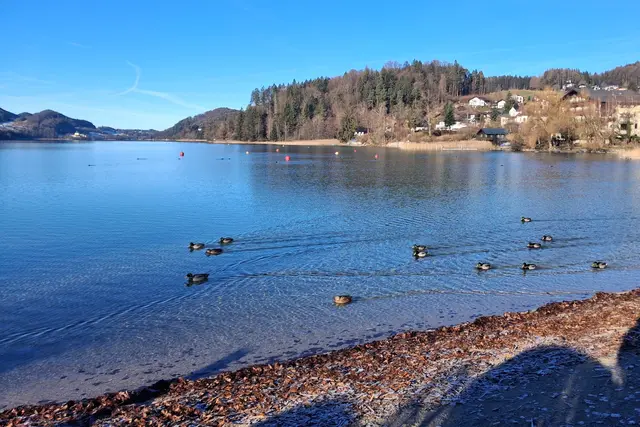 ....schwimmen, sich des "Entenlebens" und an dieser traumhaften Landschaft erfreuen.