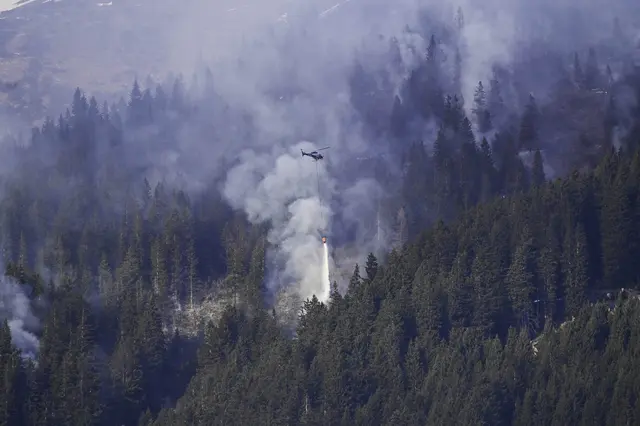 Großeinsatz der Feuerwehrkräfte beim Waldbrand auf der Nordkette. | Foto: zeitungsfoto.at