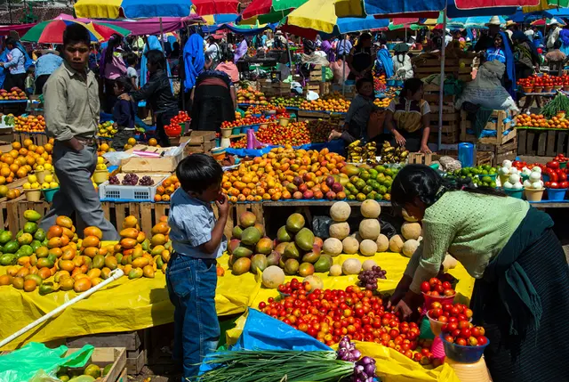 Foto: Sepp Puchinger