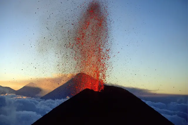 Foto: Sepp Puchinger