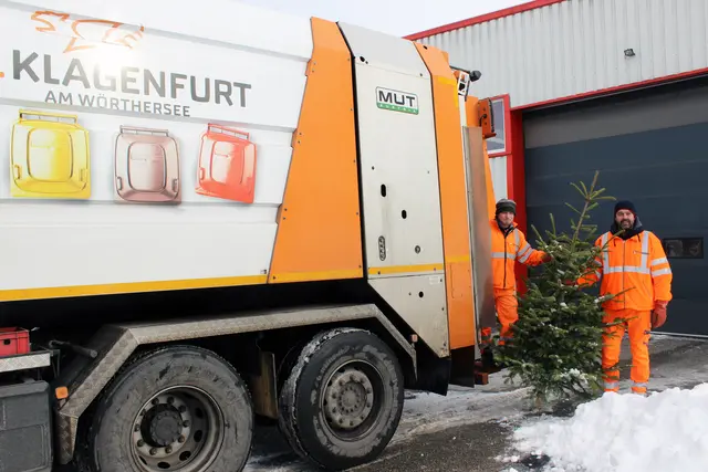 Die Christbaumentsorgung läuft in Klagenfurt noch bis Mitte Februar. | Foto: StadtKommunikation