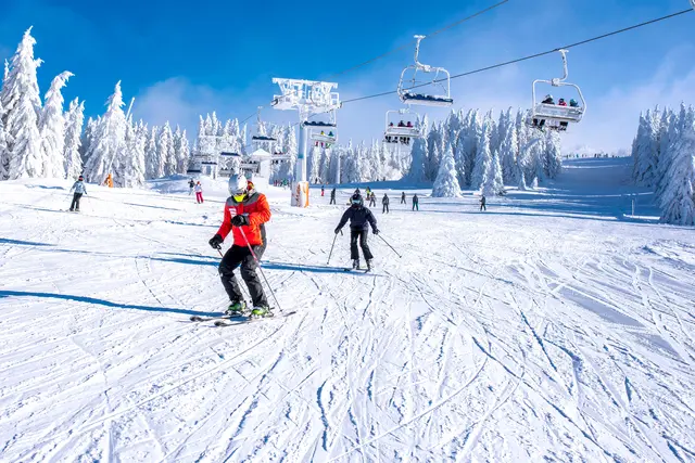 Die Skigebiete sind derzeit stark besucht. (Symbolfoto) | Foto: stock.adobe.com/at/Drpixel
