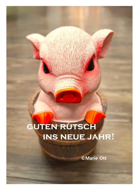 GUTEN RUTSCH INS NEUE JAHR!